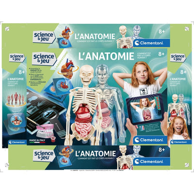 L'ANATOMIE