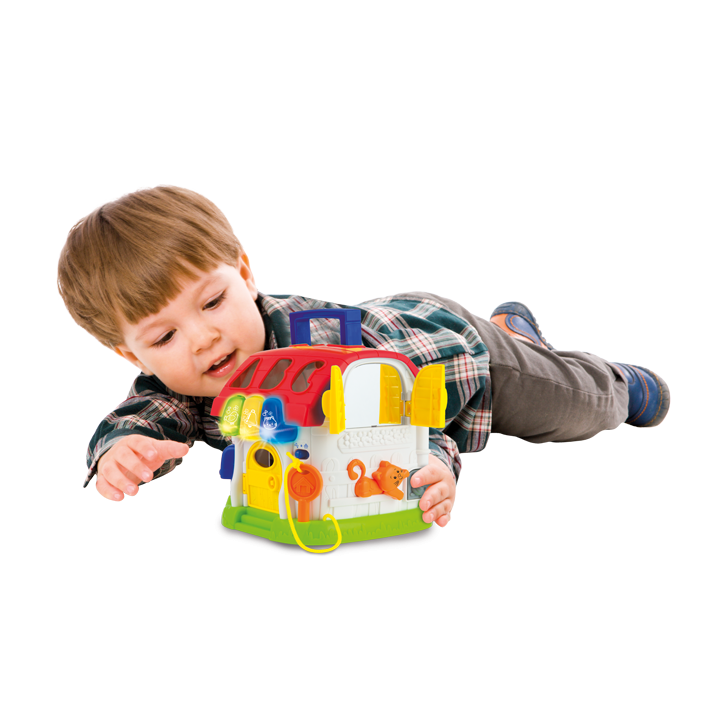 Sort 'N Learn Activity House